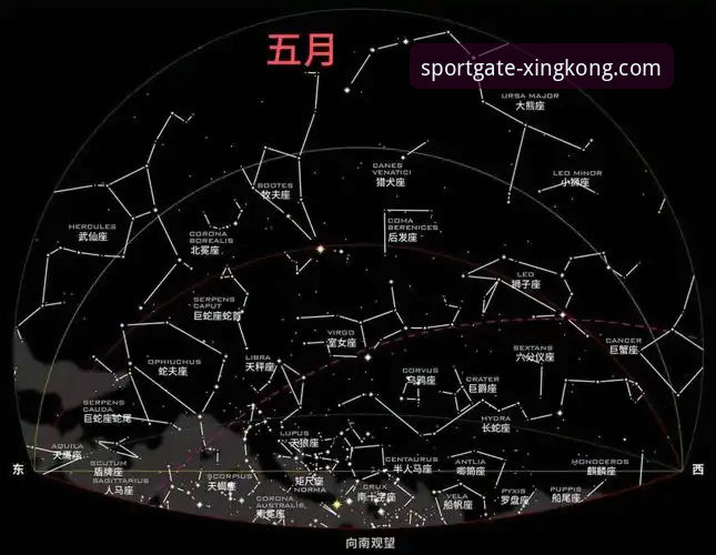 星空体育最新版本下载全面评测:数据革新与用户体验的深度探索
