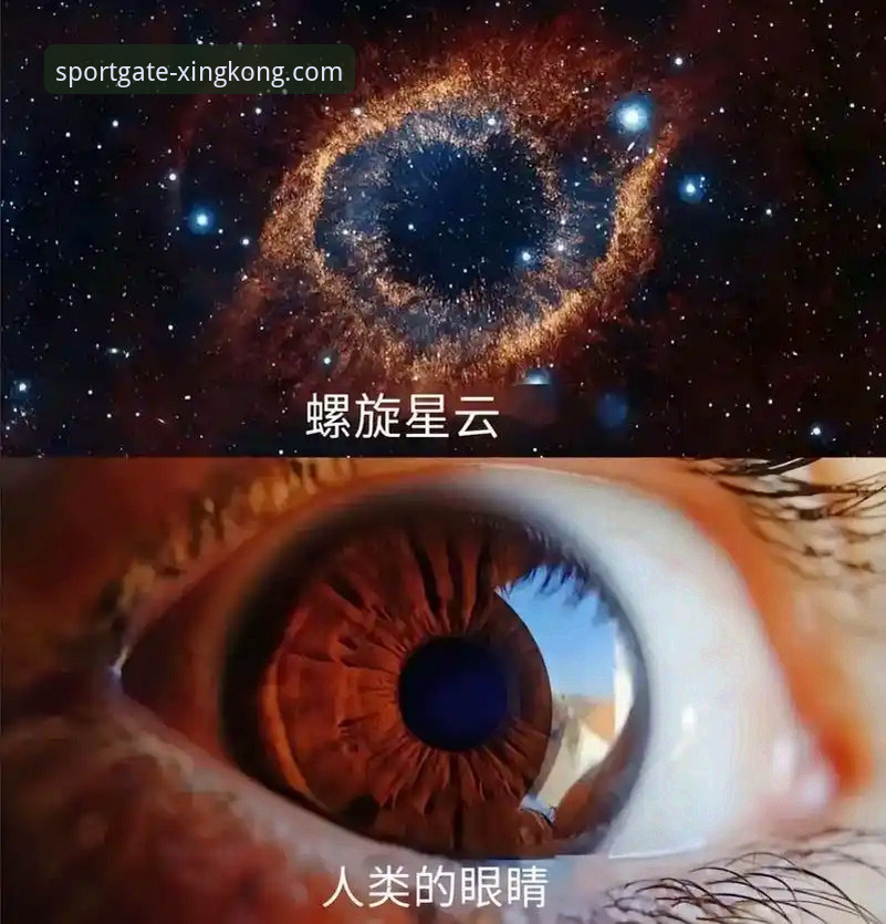 星空体育平台数据价值深度分析:从赛事洞察到用户隐私保护的全面解读